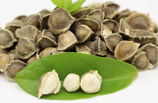 辣木籽的功效與作用有很多，但這5類人群不適合食用