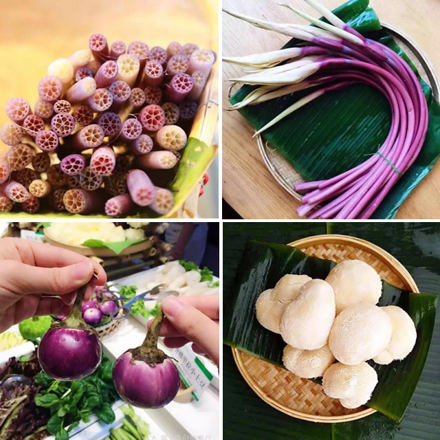 第六季---餐飲界的博物館