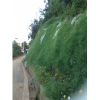 客土噴播植草 礦山修復(fù)項(xiàng)目河南景繡繪遠(yuǎn)