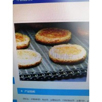 專業(yè)生產(chǎn)網(wǎng)帶  網(wǎng)鏈  輸送設(shè)備  烘干設(shè)備