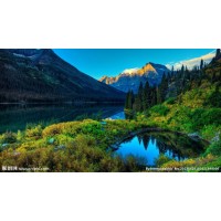 真相揭露！貴州商品交所中心不正規(guī)！揭開老師指導(dǎo)虧得原因！