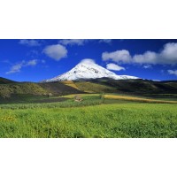 真相！期期盈不正規(guī)！揭開陳玥指導(dǎo)虧損近百萬原因！