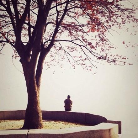 失戀后一個人孤單寂寞傷感的句子，句句催人淚下