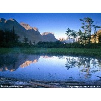 曝光,浙貿(mào)商品不正規(guī),最牛散戶董世華指導(dǎo)燃寶虧損內(nèi)幕揭露