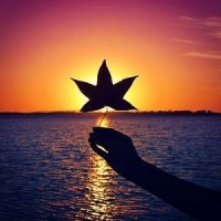 焦點,金犀牛期權(quán)不正規(guī),虧損被騙真相揭露