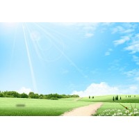 震驚先鋒領航不正規!被騙虧損真相揭露!