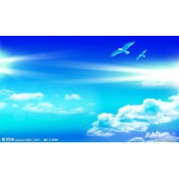 撮合網是正規的平臺？撮合寶被騙者揭開虧損真相