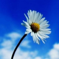 警惕洪城資管怎么樣無監(jiān)管！股民財經(jīng)學(xué)院高峰老兵坑我?guī)资f內(nèi)幕