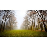 真相揭露易盈資訊不正規(guī)！騙局揭露坑我?guī)资f事實(shí)真相！