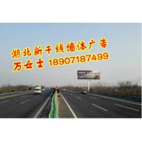 湖北武漢創意墻體店招廣告，湖北武漢戶外廣告牌安裝，武漢軍運會