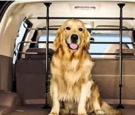 女司機注意了！往后副駕駛放這個，交警查到扣3分罰款200元