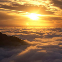 恒達資訊正規嗎？虧損慘重內幕大曝光！本人親身經歷揭露