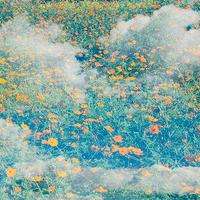 博星證券正規(guī)嗎？虧損慘重內(nèi)幕大曝光！本人親身經(jīng)歷揭露騙局！