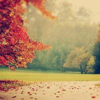 震驚！ 瀚泰國際不正規(guī)！揭露喊單虧損幾十萬真相！本人親身經(jīng)歷