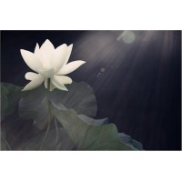 新紀元期貨被騙虧損真相騙局曝光，受害者真實經歷大揭秘。