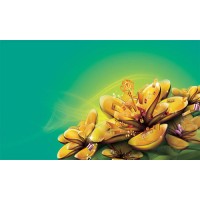 盈途金寶平臺虧損不能出金該怎么辦？銘輝為你出謀劃策！