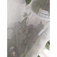 大棚防蟲紗網(wǎng)加厚全新料蔬菜防蟲網(wǎng)規(guī)格齊全