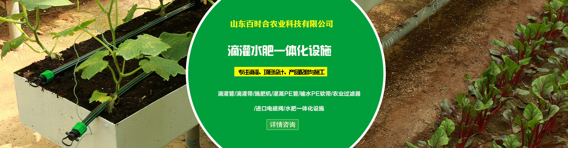 百時合主營業(yè)務