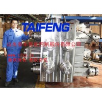 山東泰豐供應90兆帕高壓插裝閥 廠家直供 歡迎垂詢