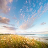 真相曝光臨商中心交易APP不正規！被騙損失幾十萬無法出金黑幕