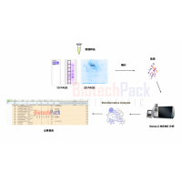 蛋白質質譜鑒定