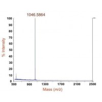蛋白分子量測定