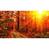 捕風捉影投資認籌套路揭秘！分紅那天就是你虧損的時候