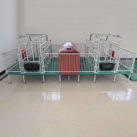 雙位母豬產(chǎn)床分娩一體母豬產(chǎn)床