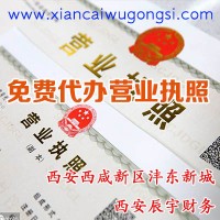 西安西咸新區(qū)灃東新城代辦營業(yè)執(zhí)照