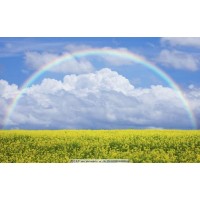 真相揭秘華揚(yáng)機(jī)構(gòu)不正規(guī)!曝光被騙幾十萬真相!本人親身訴說