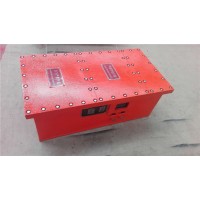 本安電源DXBL1536/25.6X鋰離子蓄電池電源礦用