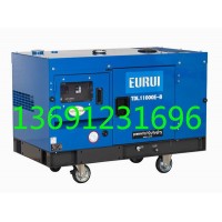 日本進口東洋發(fā)電機TDL11000E-B