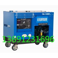 東洋發(fā)電機TDL11000E