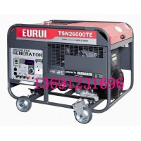 原裝日本進口東洋發(fā)電機TSN26000TE