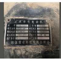 維修直流牽引電動機主極繞組線圈 換向極繞組線圈