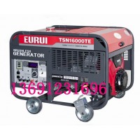 進口汽油發電機TSN16000TE