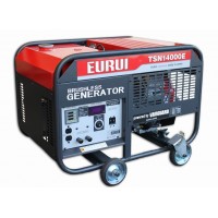 汽油發電機TSN14000E