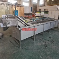 定制果蔬氣泡清洗機(jī)