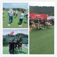 硚口紅色引擎選在哪？那個(gè)基地快樂(lè)爆棚