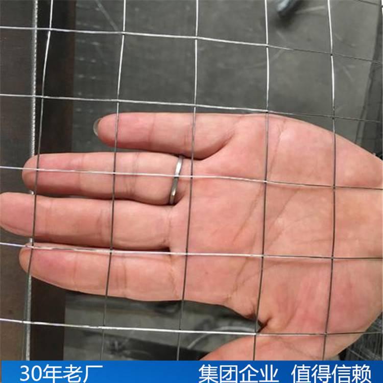 鐵絲網(wǎng)興來鋼結(jié)構(gòu)鍍鋅電焊鐵絲網(wǎng)廠家直銷