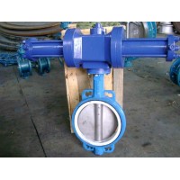 船用壓載艙液壓蝶閥（浸沒(méi)式液壓蝶閥）JIS F7480