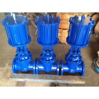 船用國(guó)標(biāo)日標(biāo)德標(biāo)美標(biāo)液壓遙控閘閥