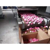 微波人造絲花干燥固色機(jī)