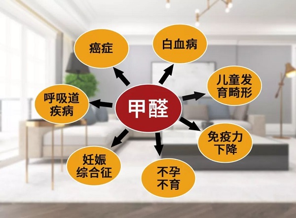 甲醛去除的正確方法