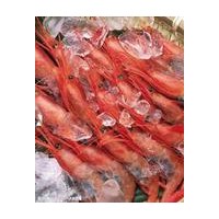 微波對(duì)蝦烘干設(shè)備