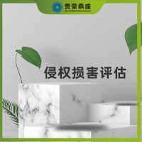 內蒙古省呼和浩特市無形資產(chǎn)評估侵權損害評估今日推薦