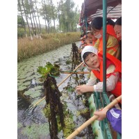 蘇州少兒自然探索憶童年采菱營地教育研學(xué)旅行社會實踐課報名了