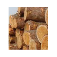 張家港木材進出口代理