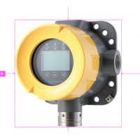 RAEGuard Lite FGM-7100可燃?xì)怏w探測(cè)器